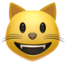 Gatto :cat: