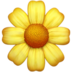 :flower: