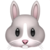 :rabbit: