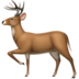 Renna :rendeer: